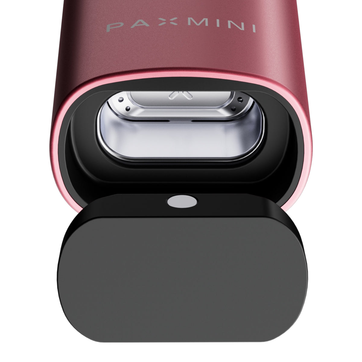 Pax New Mini Pink Edition Kammer mit Deckel