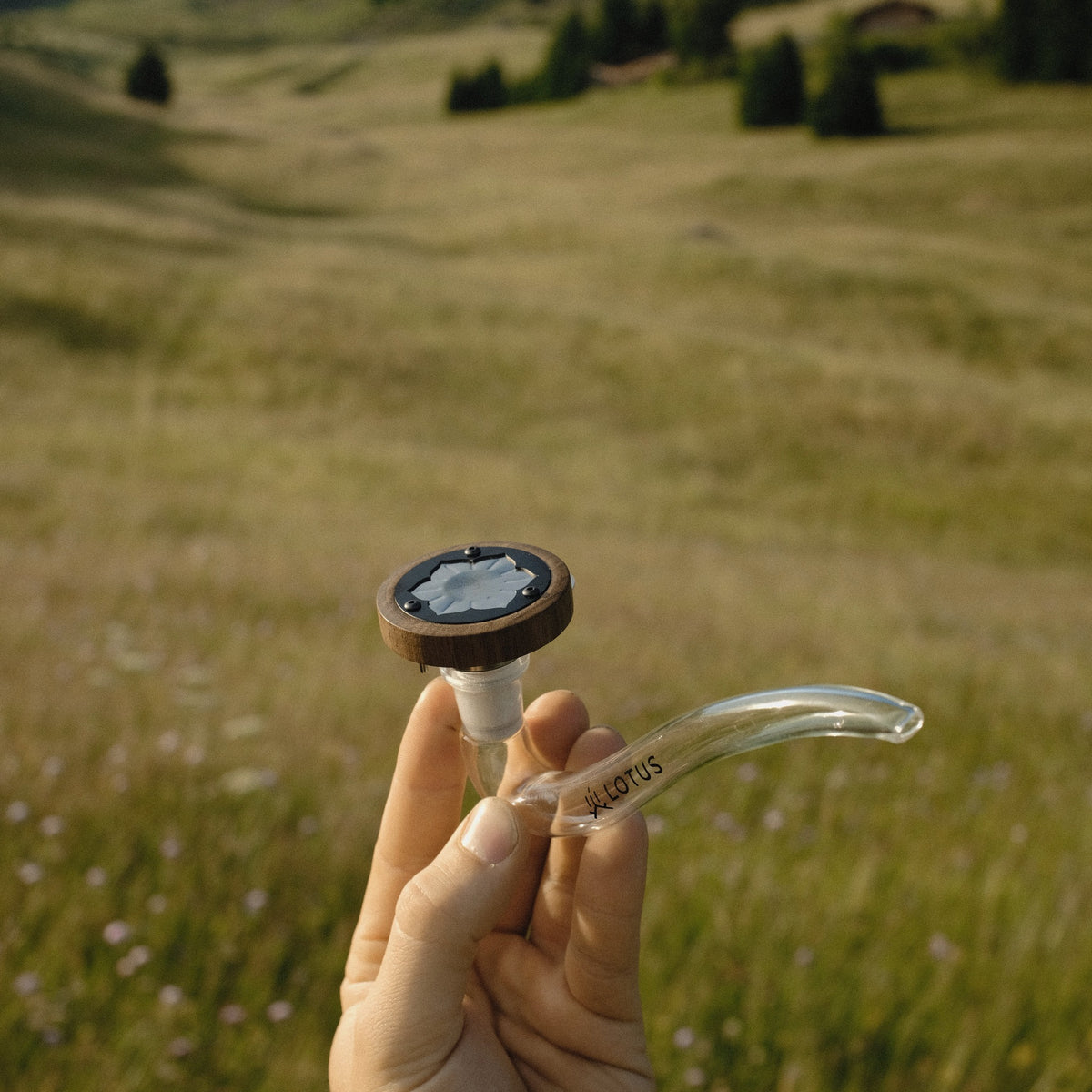 INHALE Lotus aus Walnuss in der Hand auf einer Bergwiese